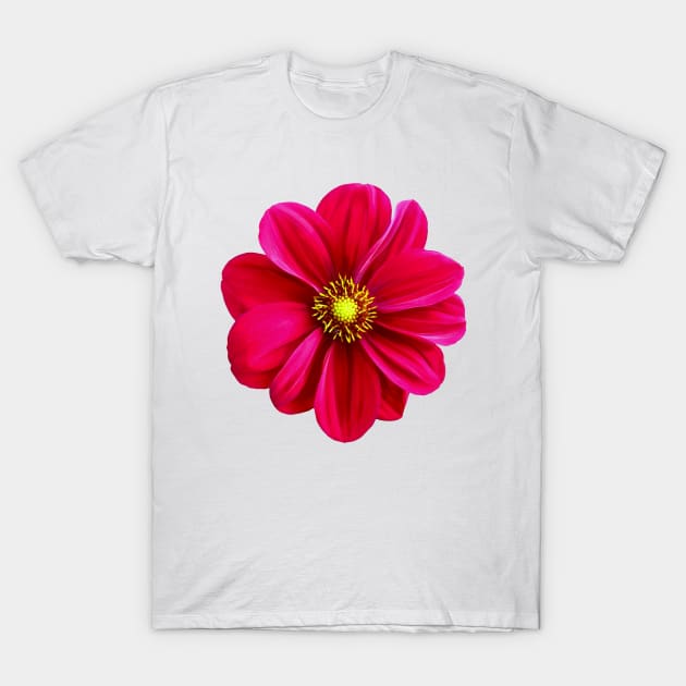 Red Daisy Flower T-Shirt by PhotoArts